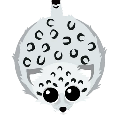 wiki