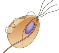 témák sciencedirect