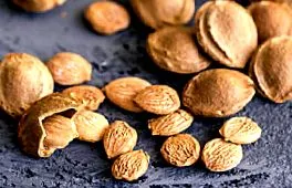 b17-vitamin aminosav