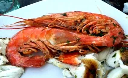 чорногорські