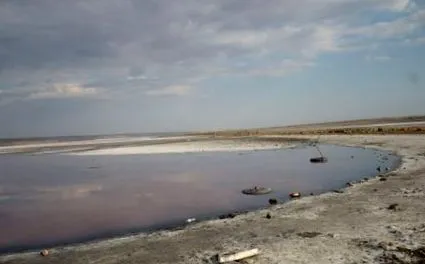 україни