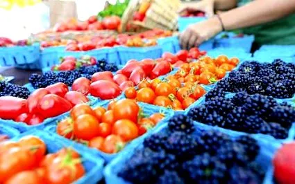 штату університетом