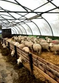 nutriția bază