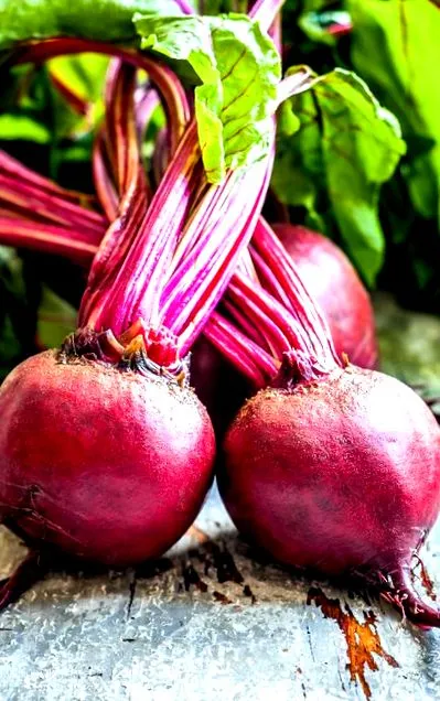 харчування
