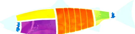 вегманів