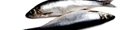 морепродуктів