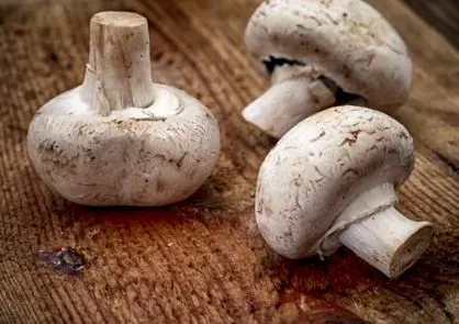 продукти харчування