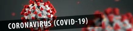 covid-19