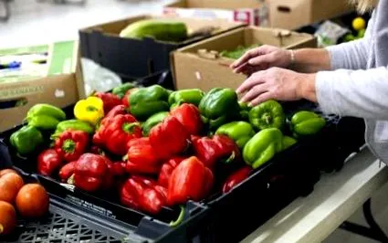 kelet-illinois foodbank