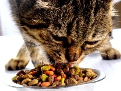 моєму