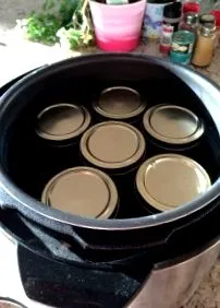 kousa kousa
