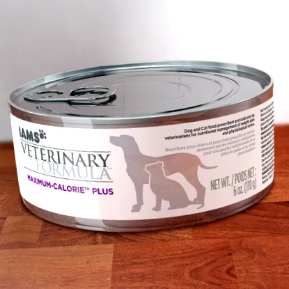 veterinary iams