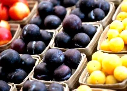 продуктів