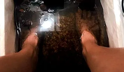 detox footbath