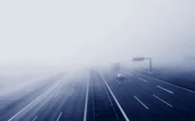 бердс