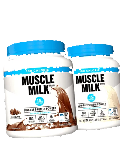 muscle