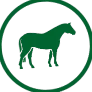 nutrena