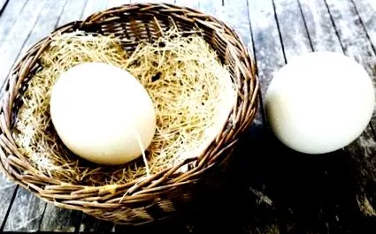харчові страусиних