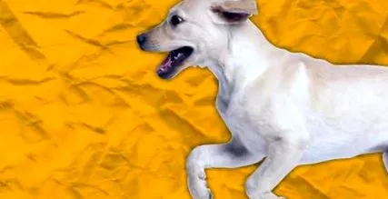 опис