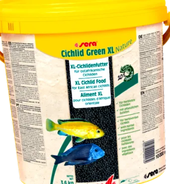cichlid