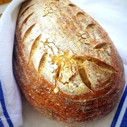 закваска манна