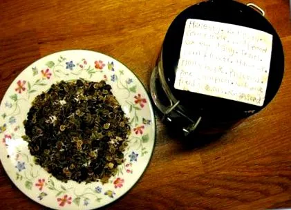 насіння