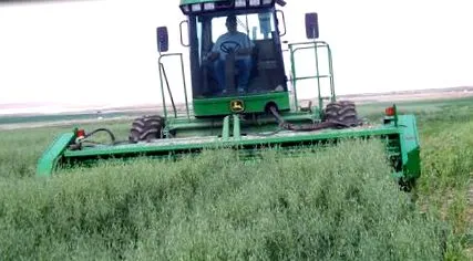 ранчо
