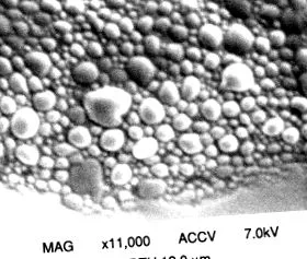 áttekintés ScienceDirect áttekintés ScienceDirect