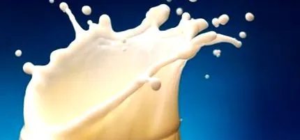 дискусія факт