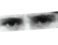 боротьба виживання