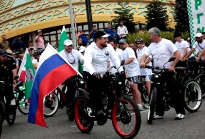 проводить