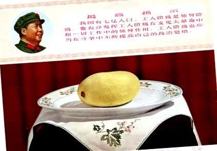 манго голова