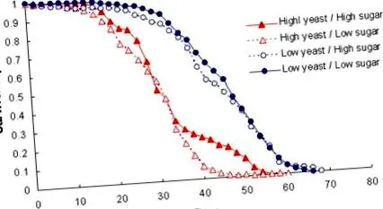diéta kalóriák