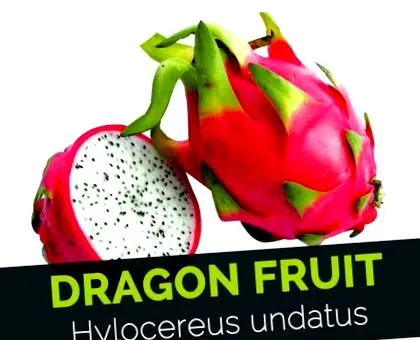 фрукти