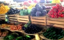 сільського господарства сільського господарства