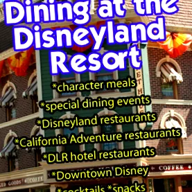 disneyland потрібно