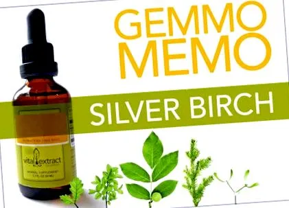 birch memo
