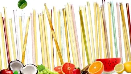 GloryBee Foods glorybee