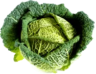 Produce Converter Produce Converter