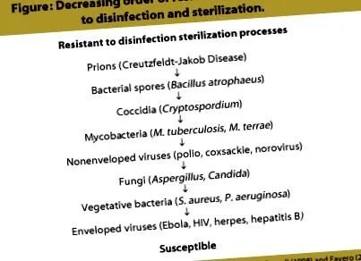 ebola