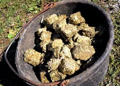 кубиків кубиків