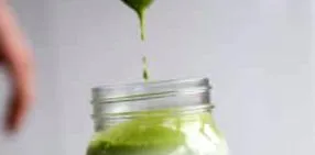 kiwi turmix