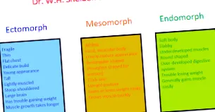 метаболізм