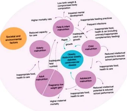 sciencedirect гіпотрофія