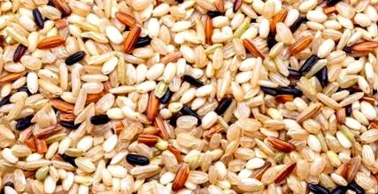 rice