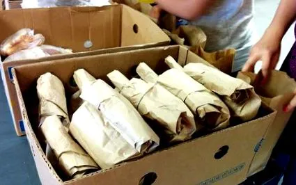 харчування