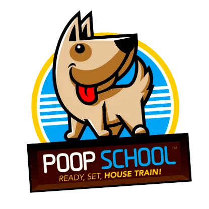 навчання poop