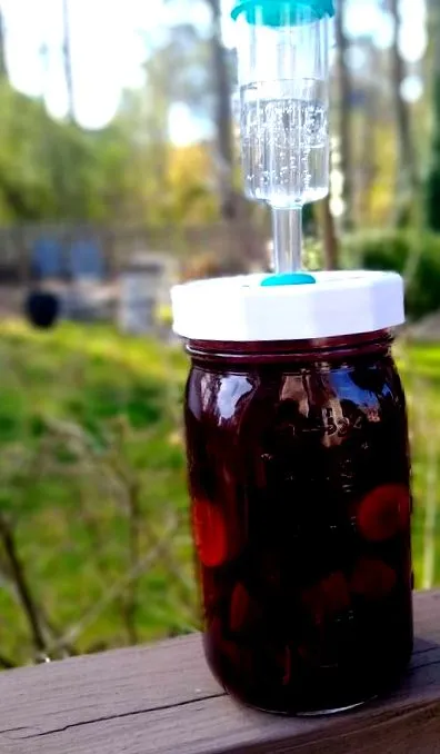 root kvass
