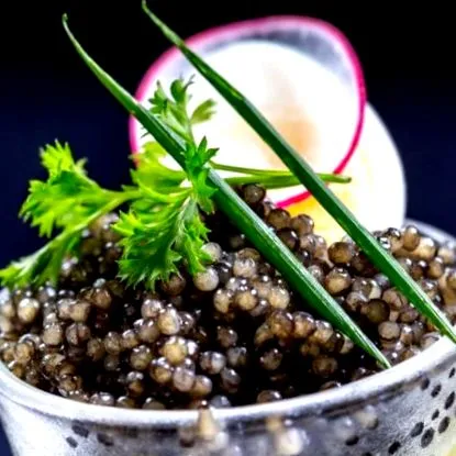 аквакультура аквакультура