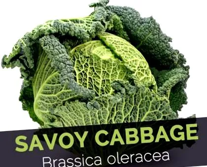 факти
